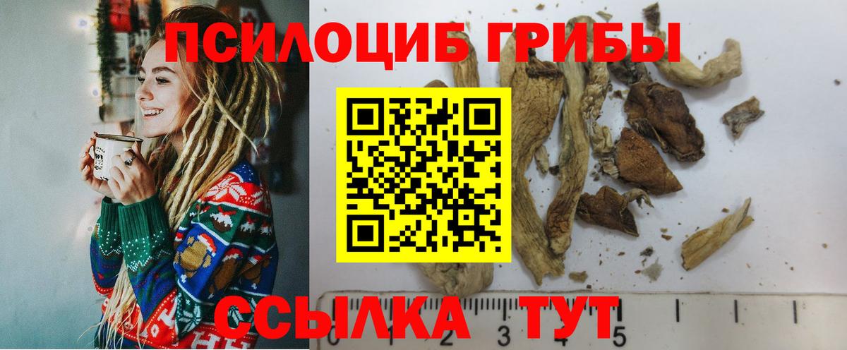 Кашира  Псилоцибиновые грибы MAGIC MUSHROOMS  продажа наркотиков  Вход с VPN 